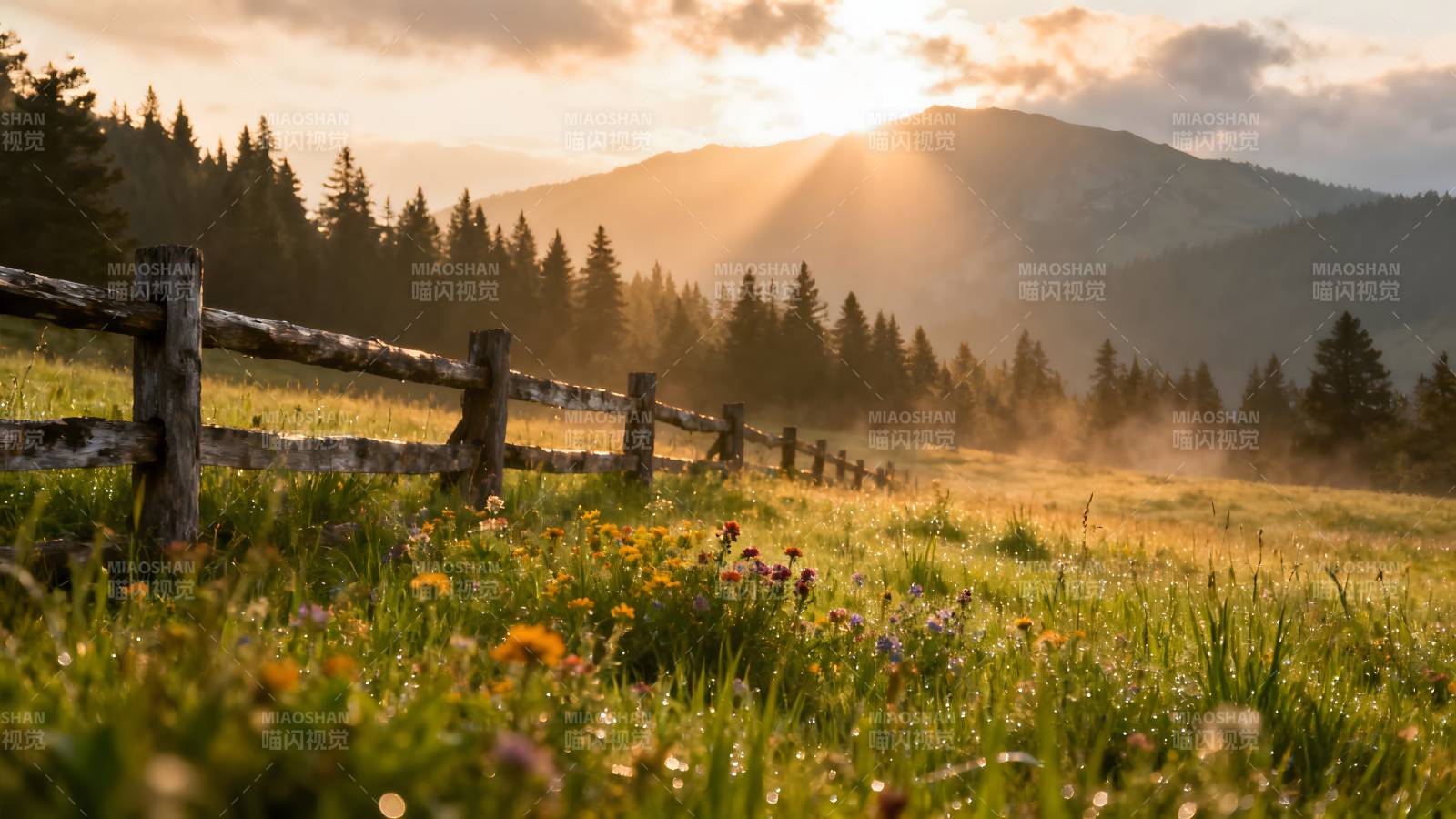 山野晨光花影图片