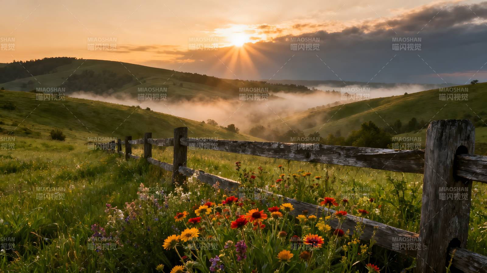 晨雾花田日出图片