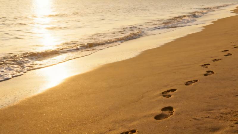 金色沙滩上的足迹图片