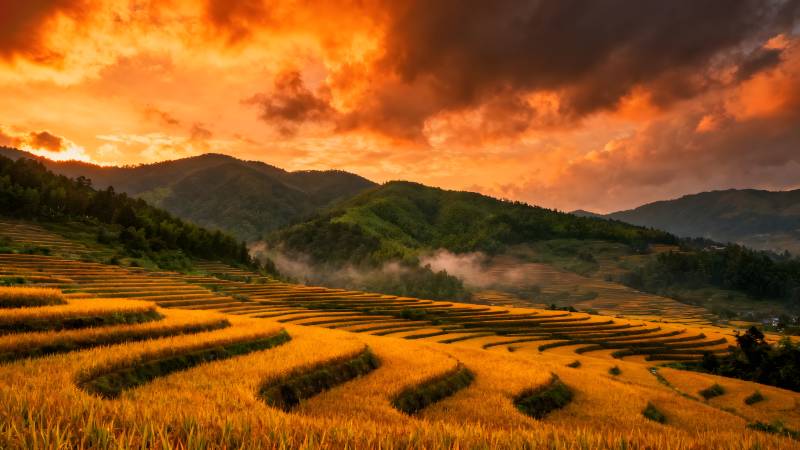 梯田日落美景图片