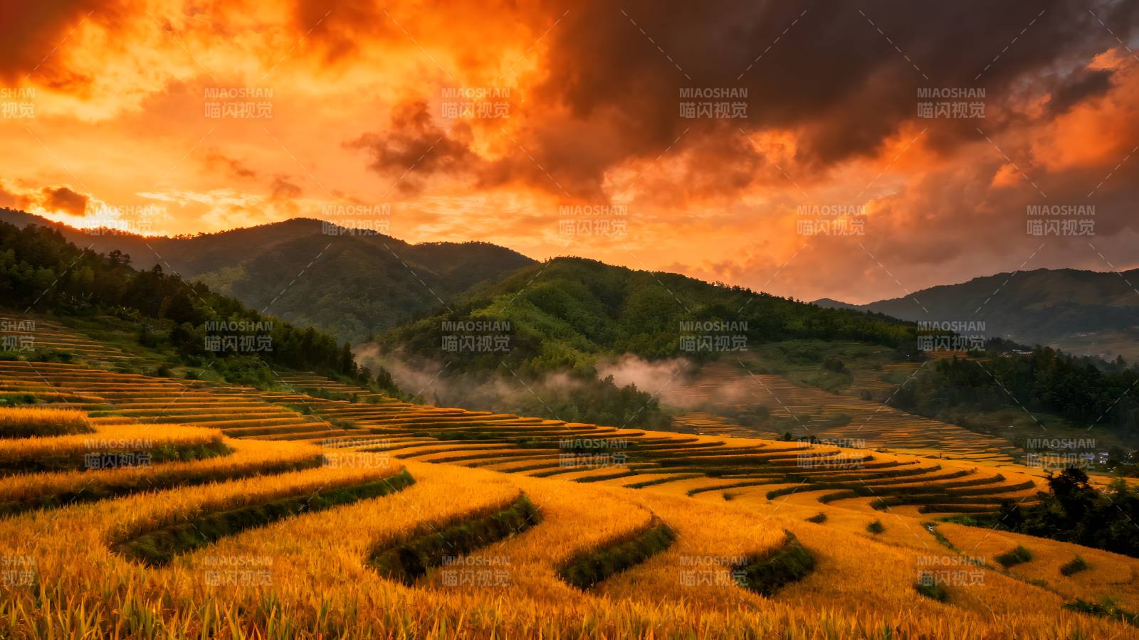 梯田日落美景图片