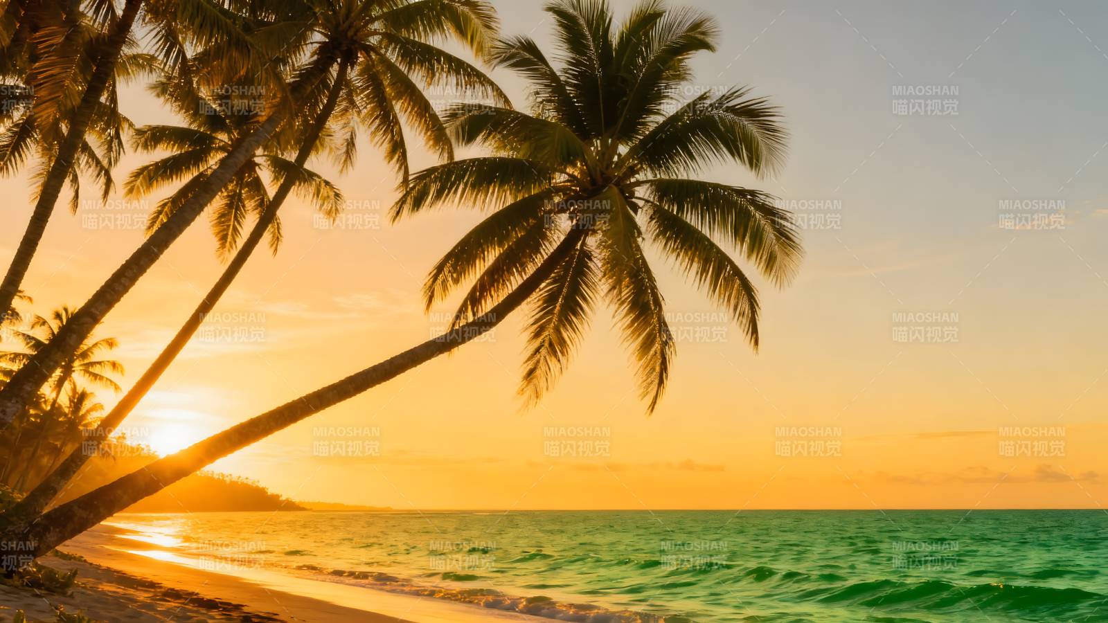 椰林夕照海滩图片