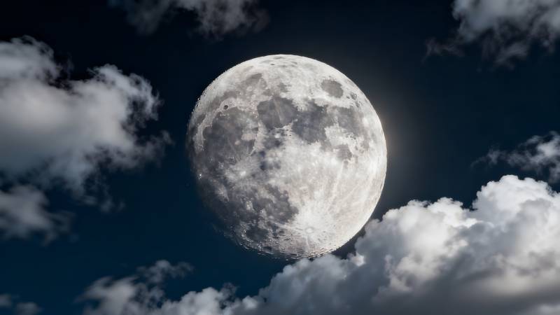 明月映云夜图片