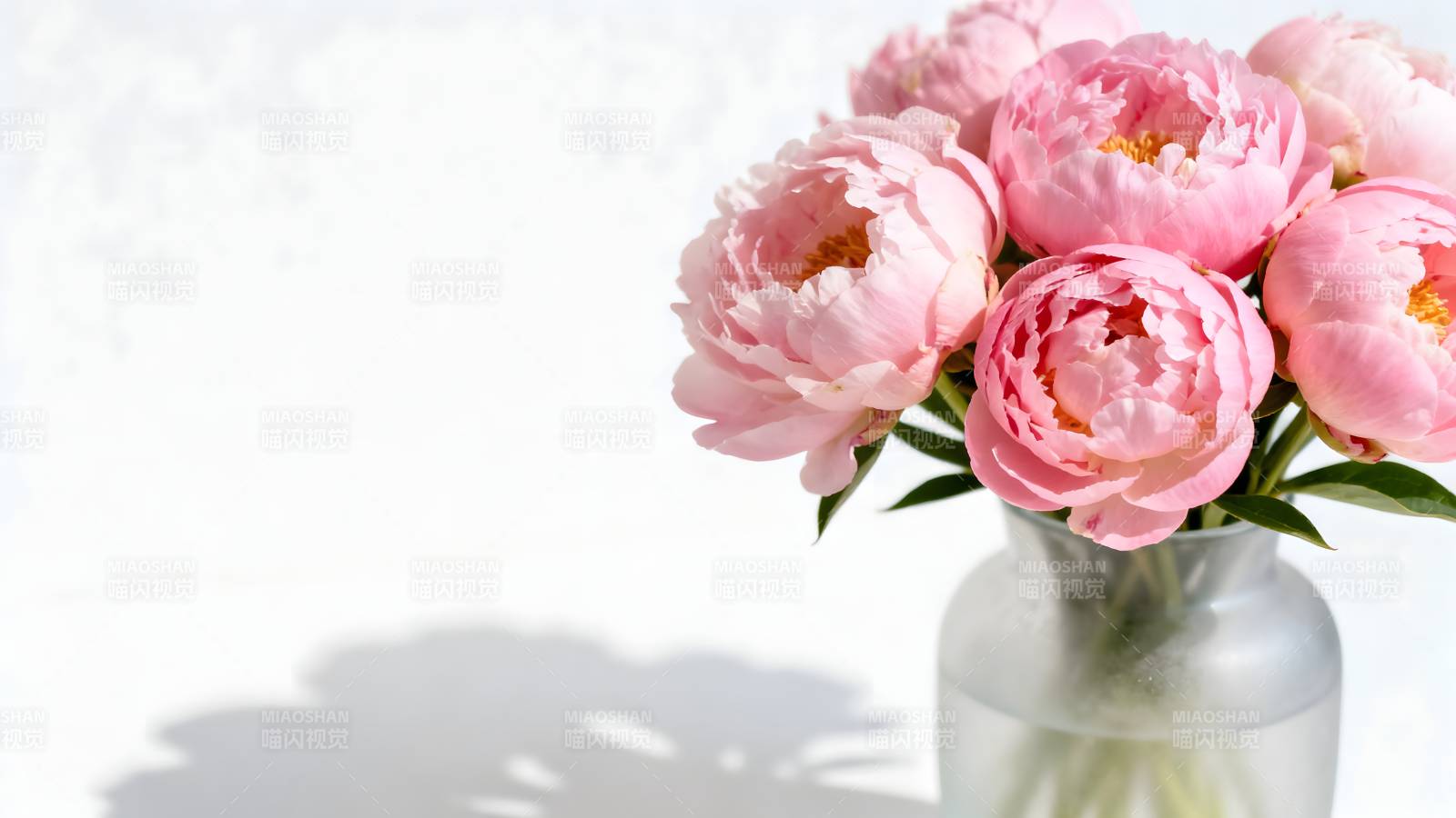 粉玫瑰花束静谧美图片