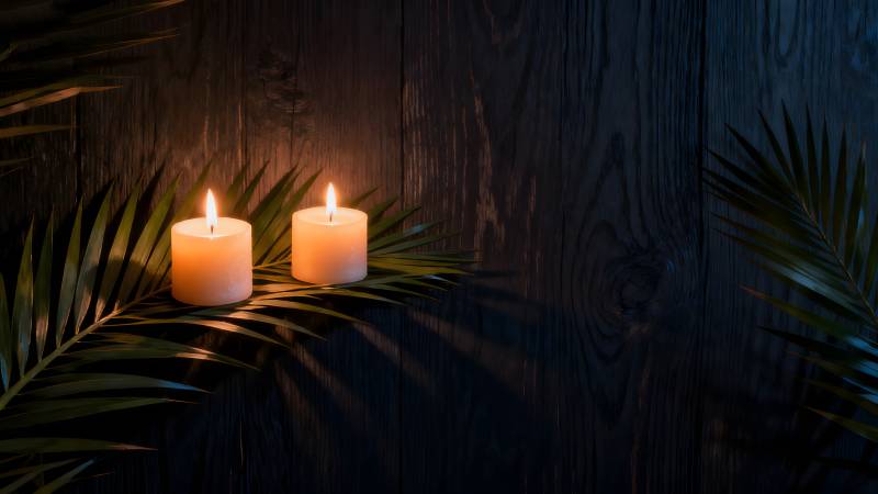 烛光与棕榈叶图片