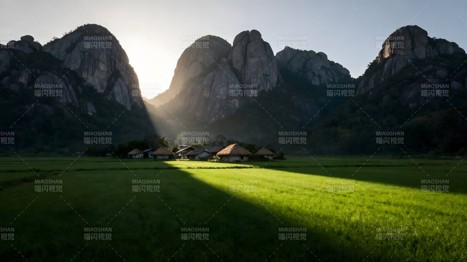 山间晨光稻田静图片