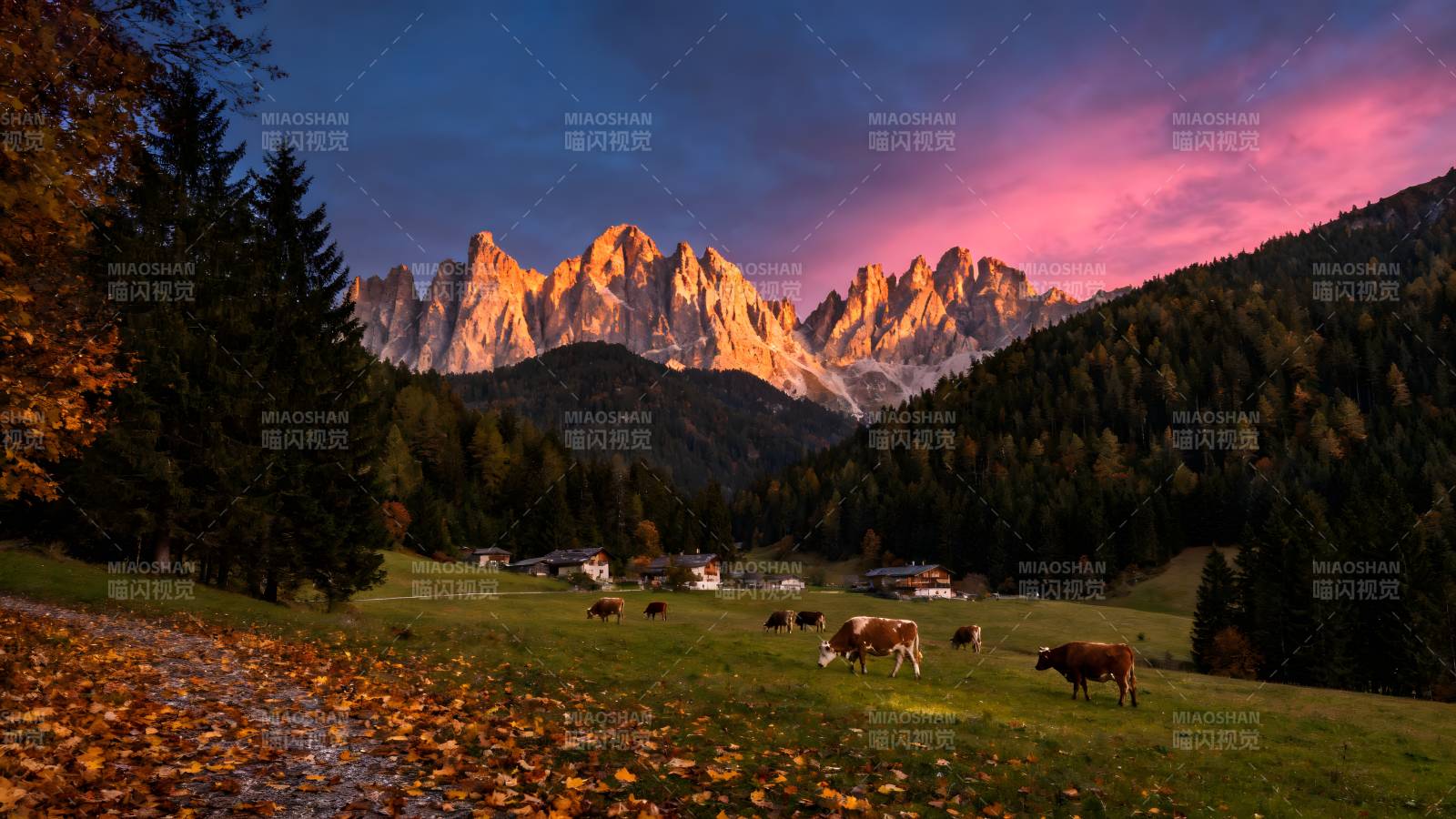 秋山牧牛图图片