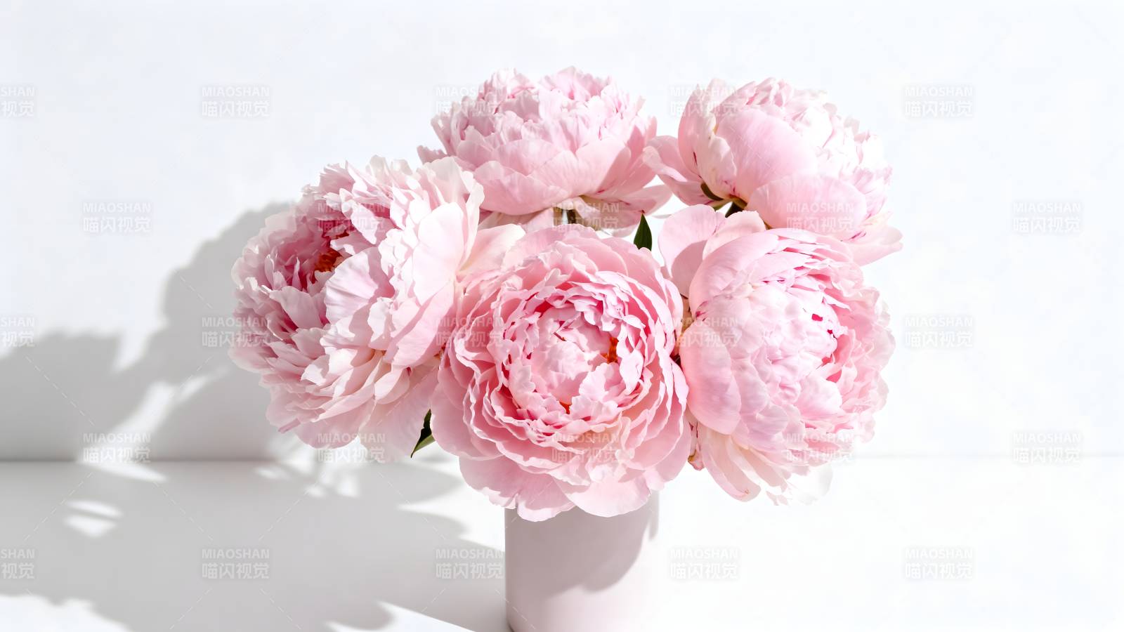 粉嫩牡丹花束图片