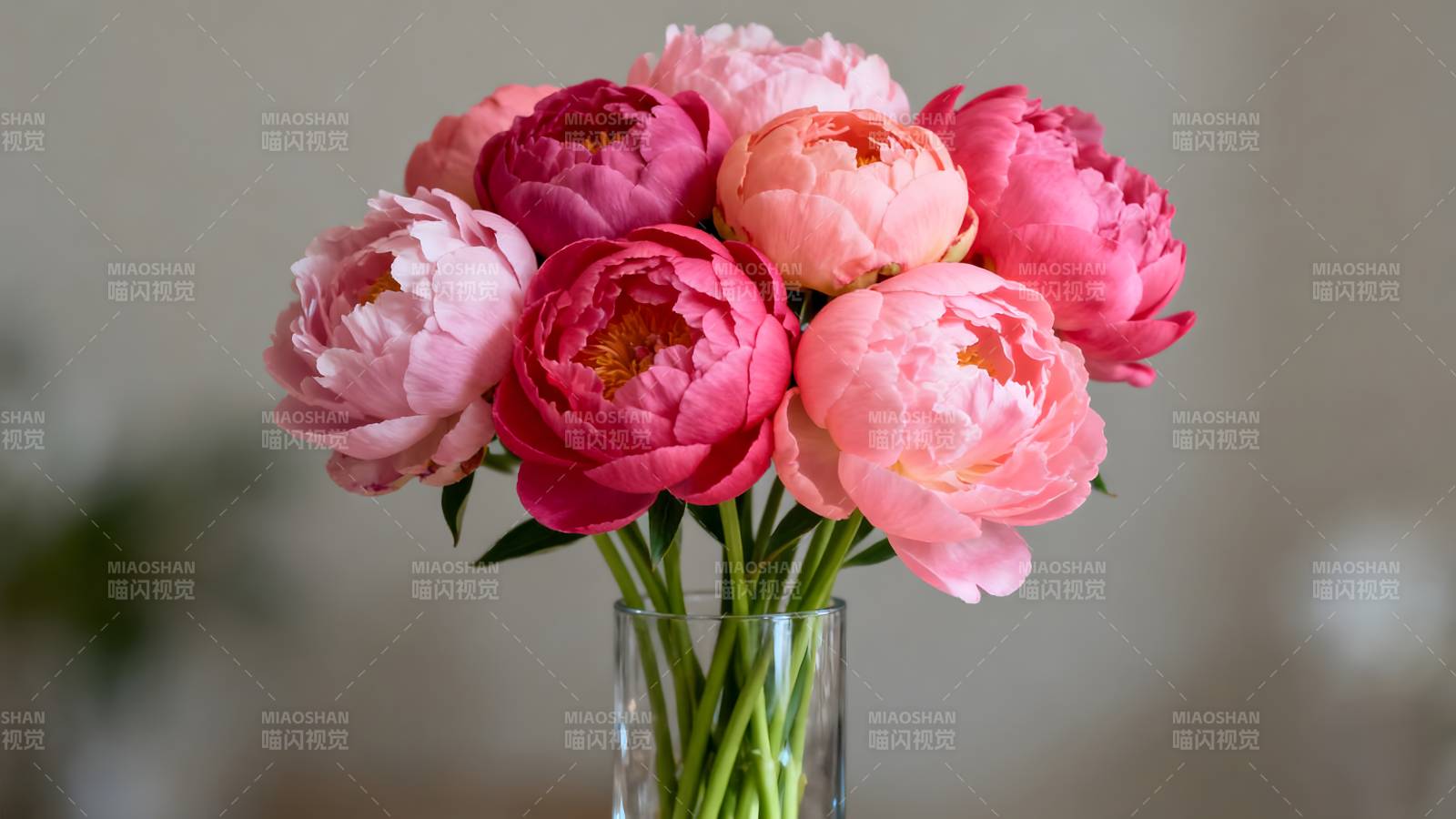 粉红牡丹花束图片