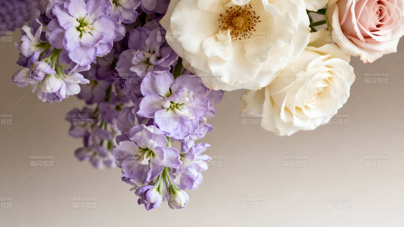 紫罗兰与白玫瑰图片