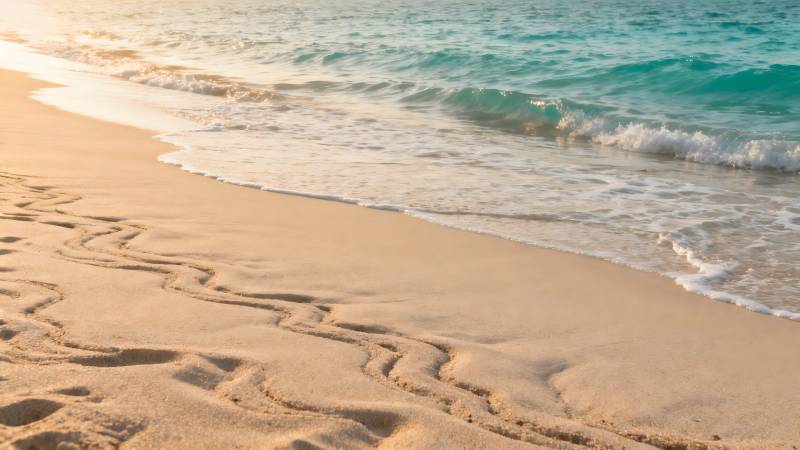 沙滩上的足迹图片