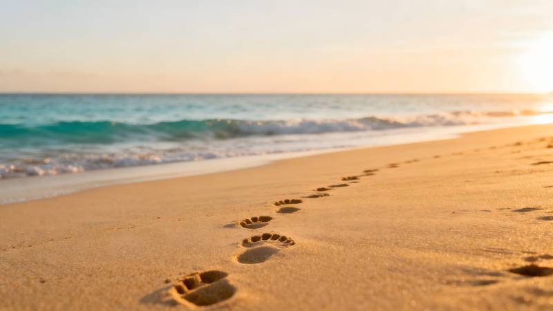 沙滩上的足迹图片