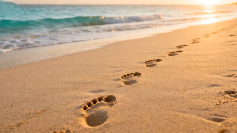沙滩足迹夕阳下图片