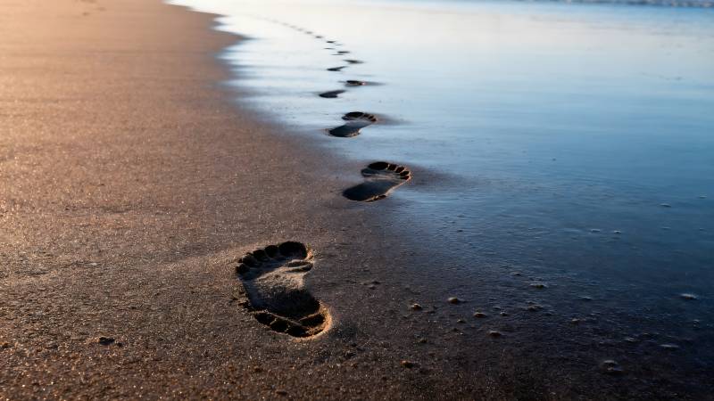 沙滩上的足迹图片
