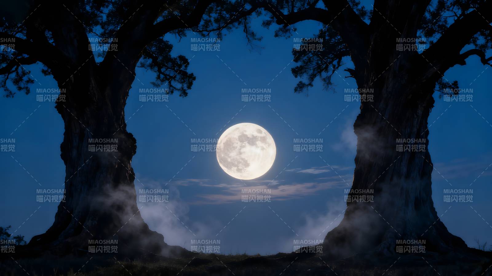 月夜双树图片