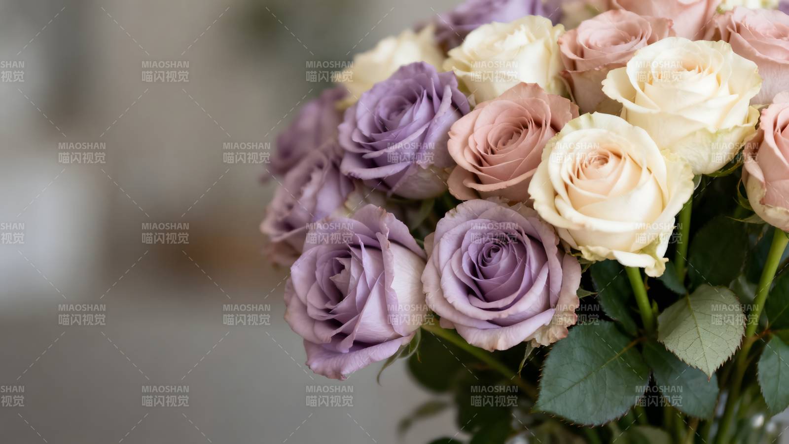 淡雅玫瑰花束图片