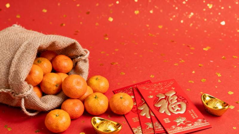 新春福满 金桔迎春图片