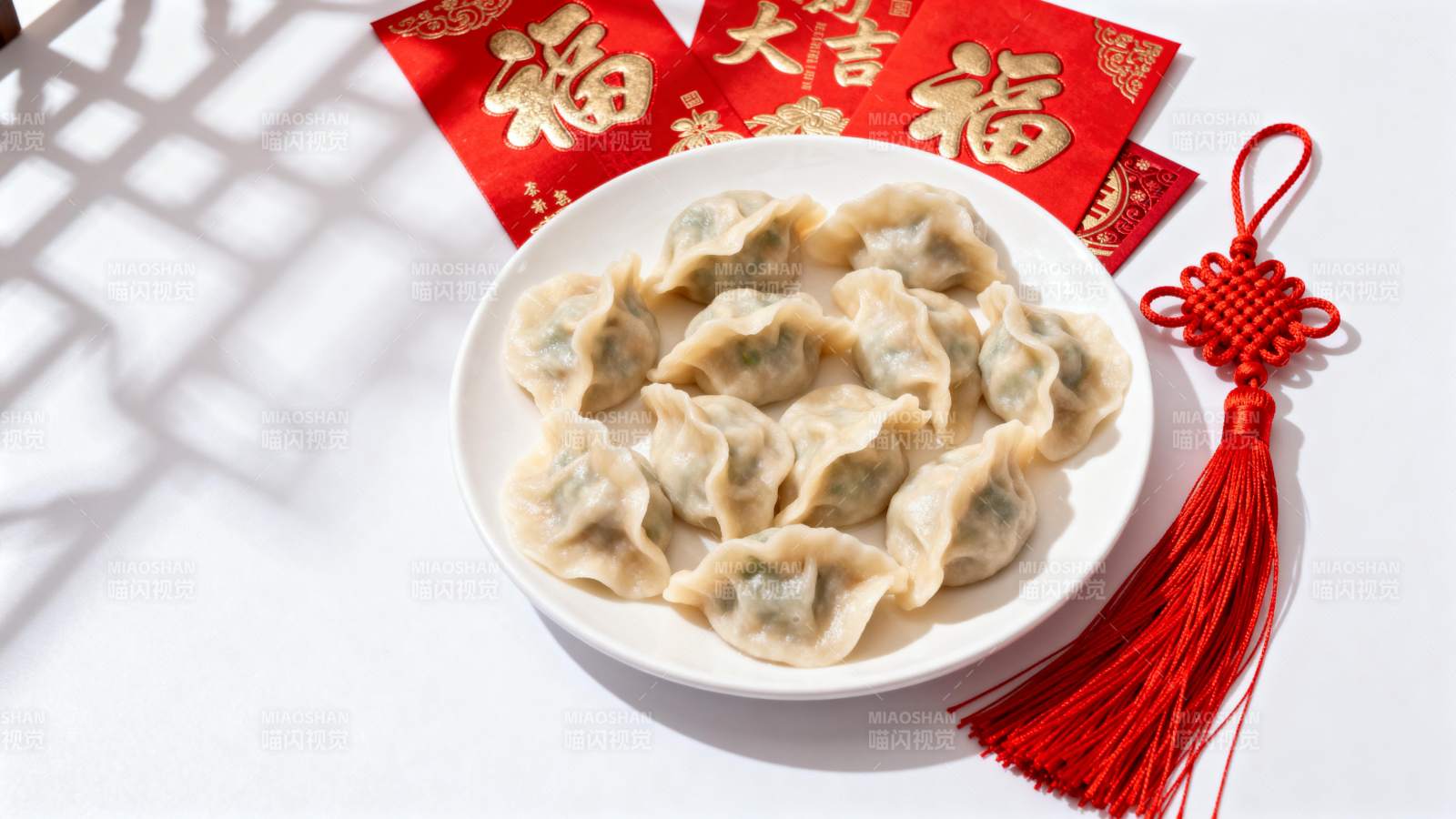 新春饺子福满堂图片