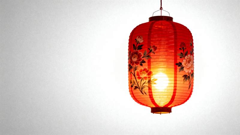 红灯笼绽放花影图片