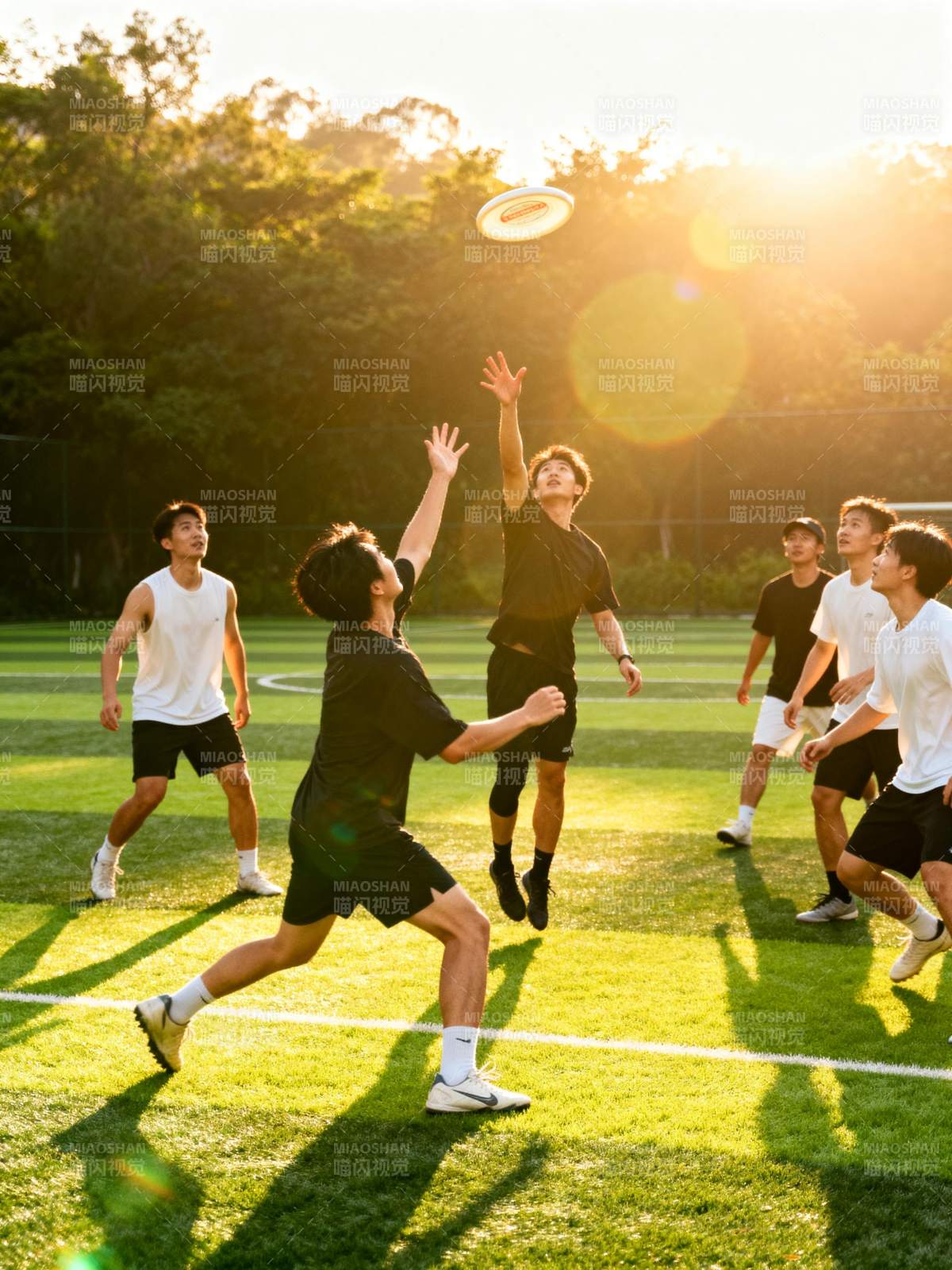 阳光下的飞盘竞技图片
