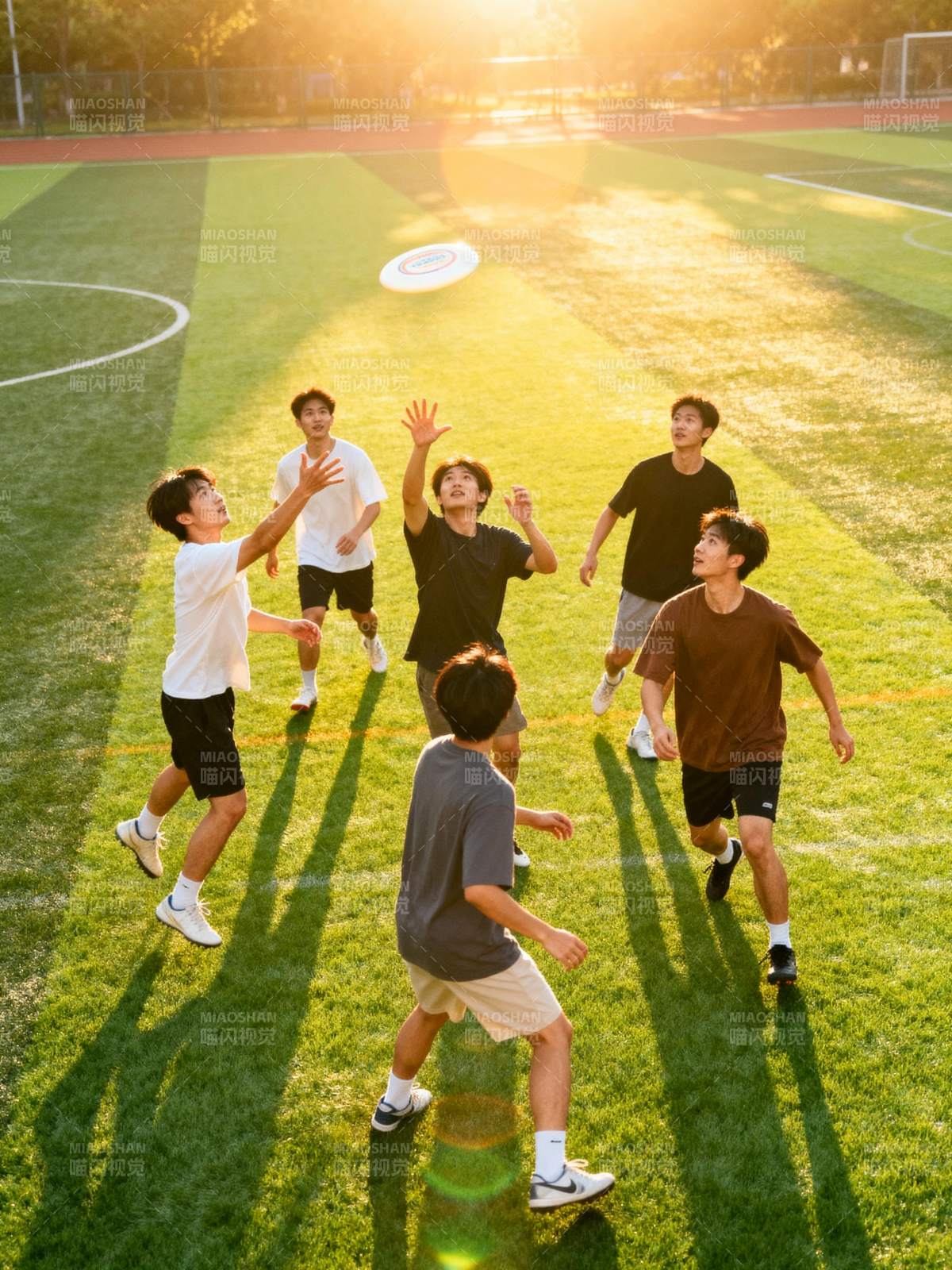 阳光下的飞盘游戏图片