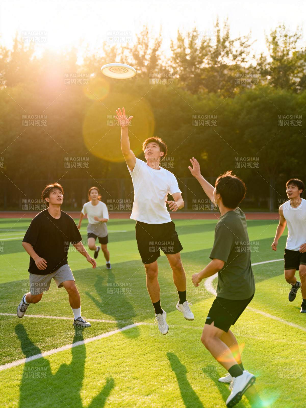 飞盘竞技 青春飞扬图片
