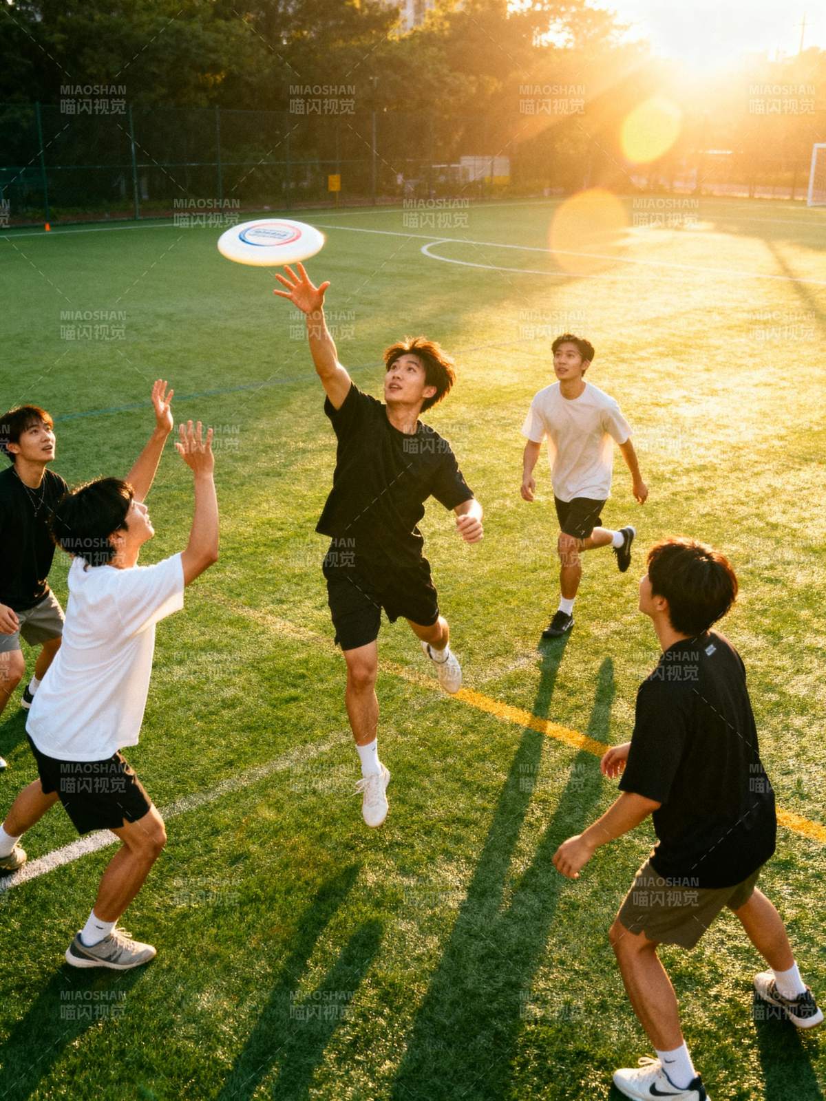 飞盘竞技 青春飞扬图片