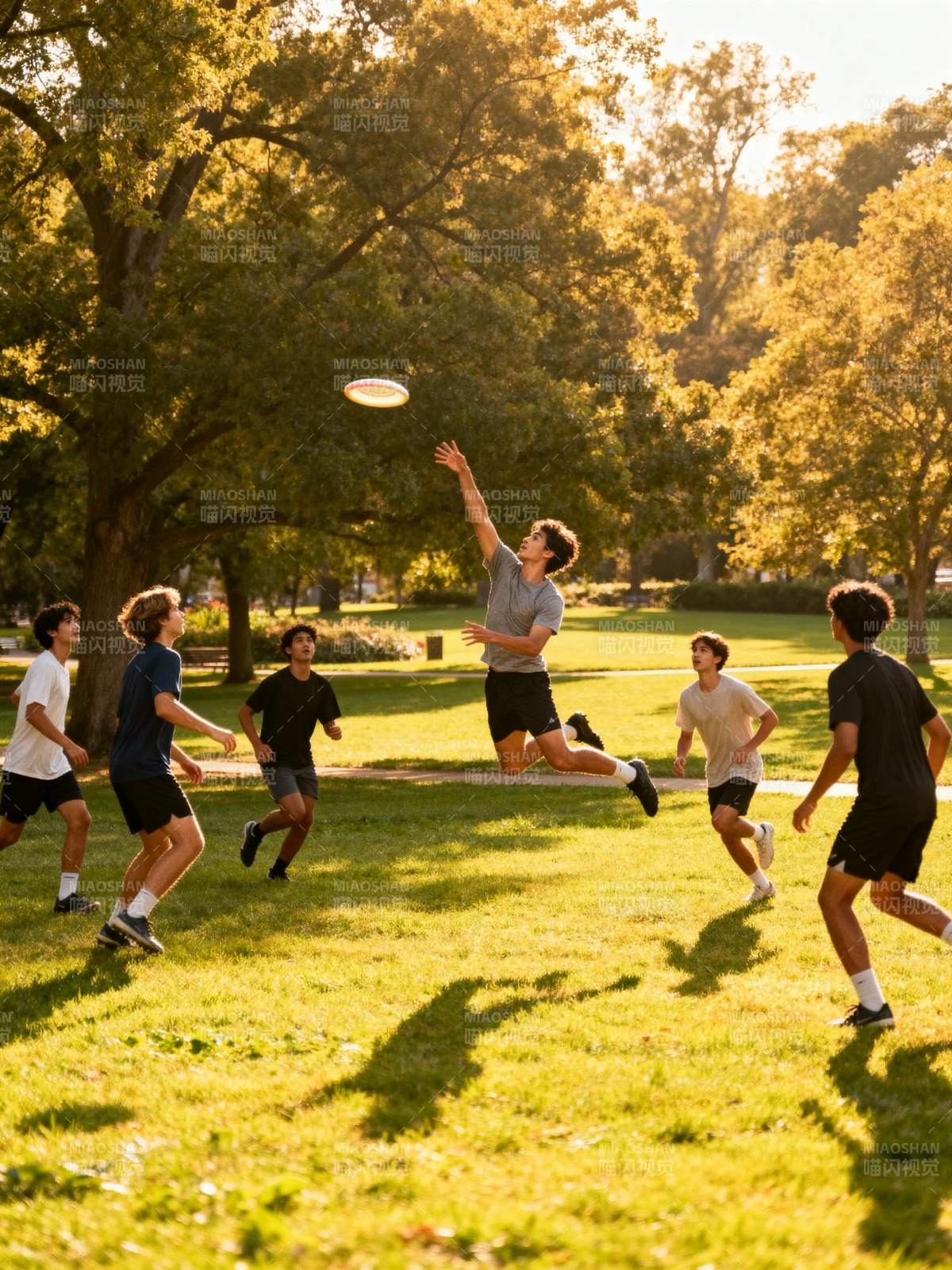 公园飞盘竞技瞬间图片