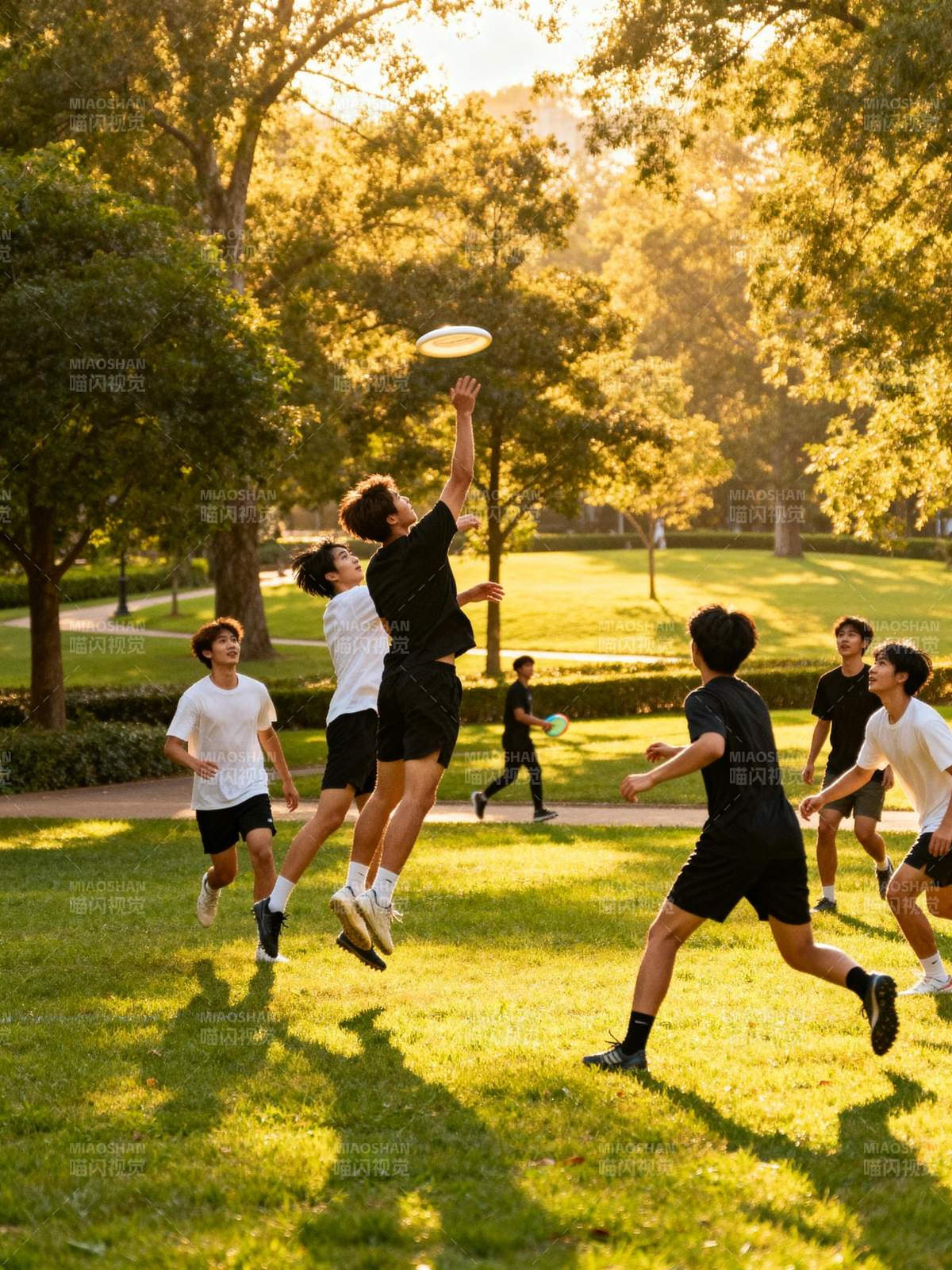 阳光下的飞盘竞技图片