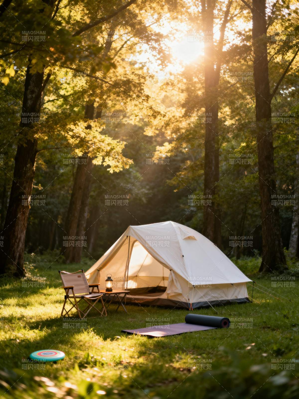 林间晨光露营图片