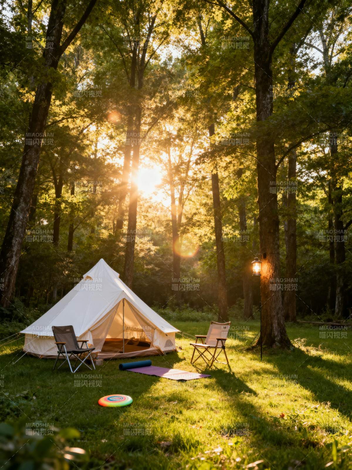 林间露营 阳光洒落图片