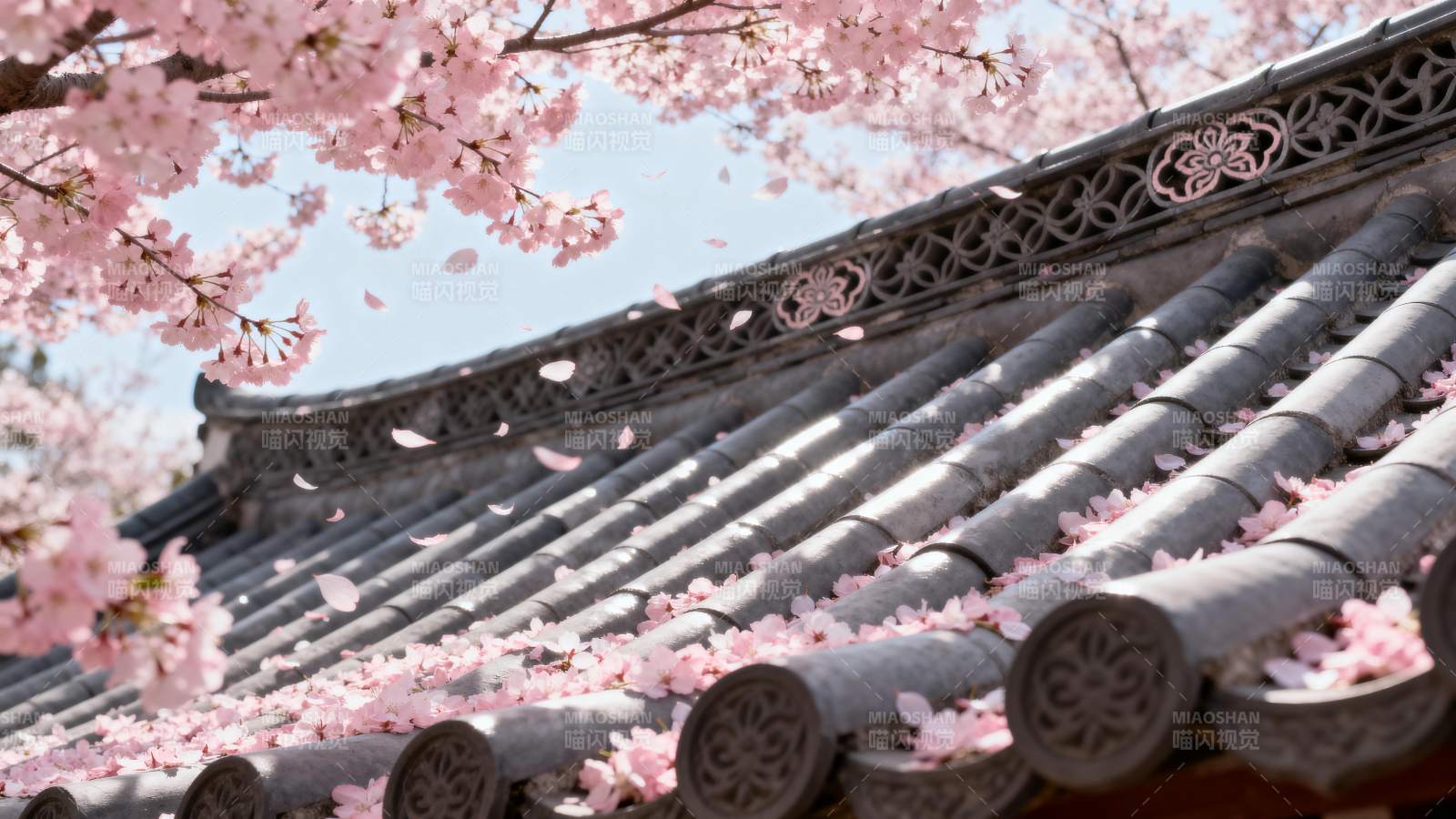 樱花落瓦檐图片