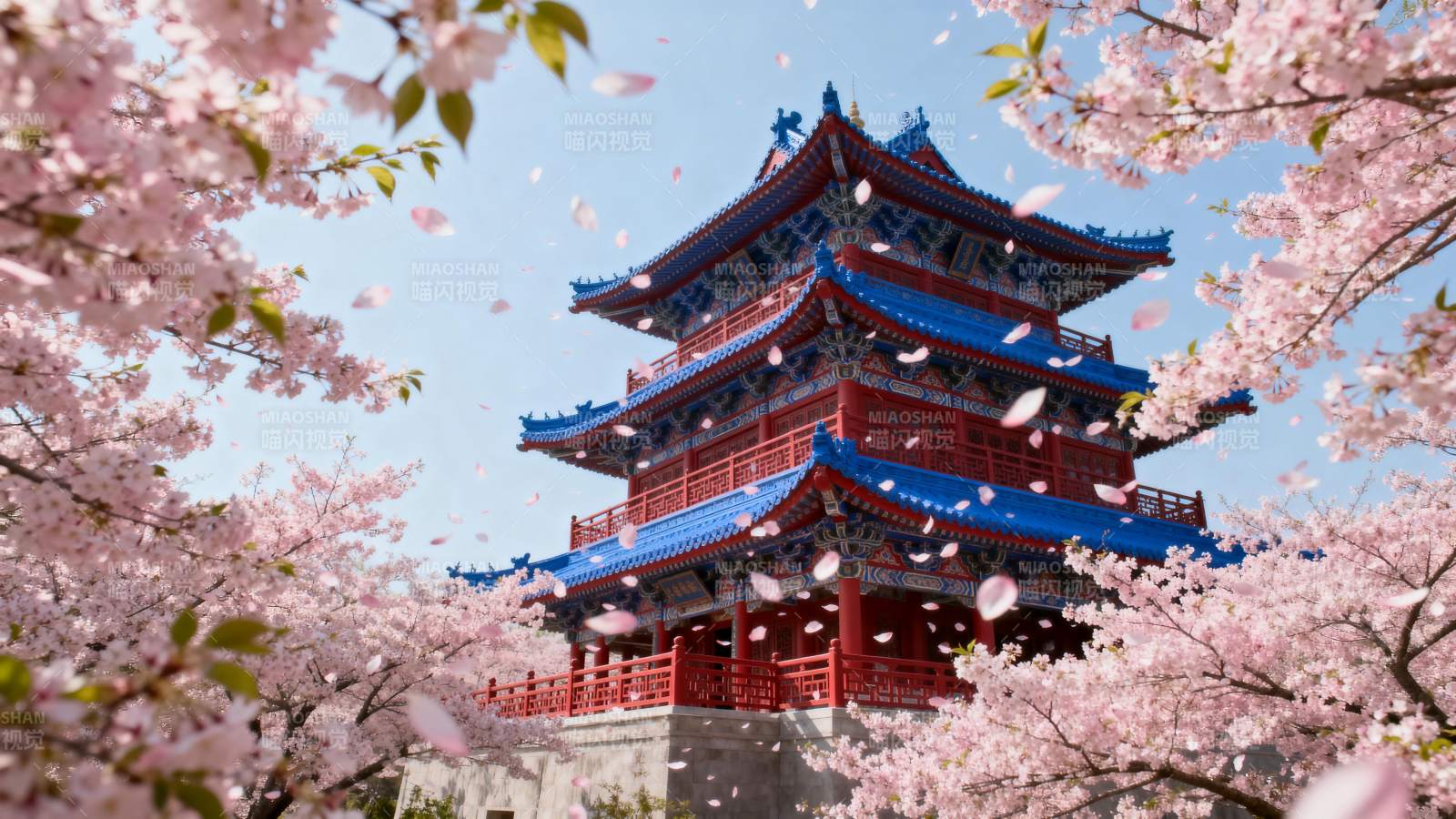 樱花映古塔图片