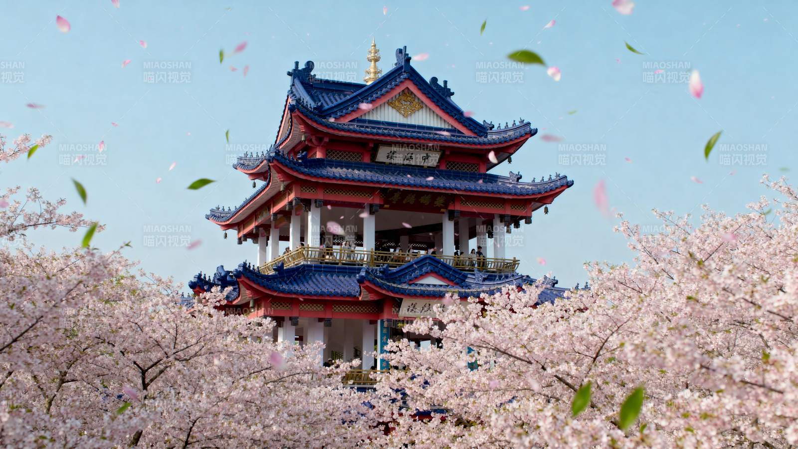 樱花映衬古塔美景图片