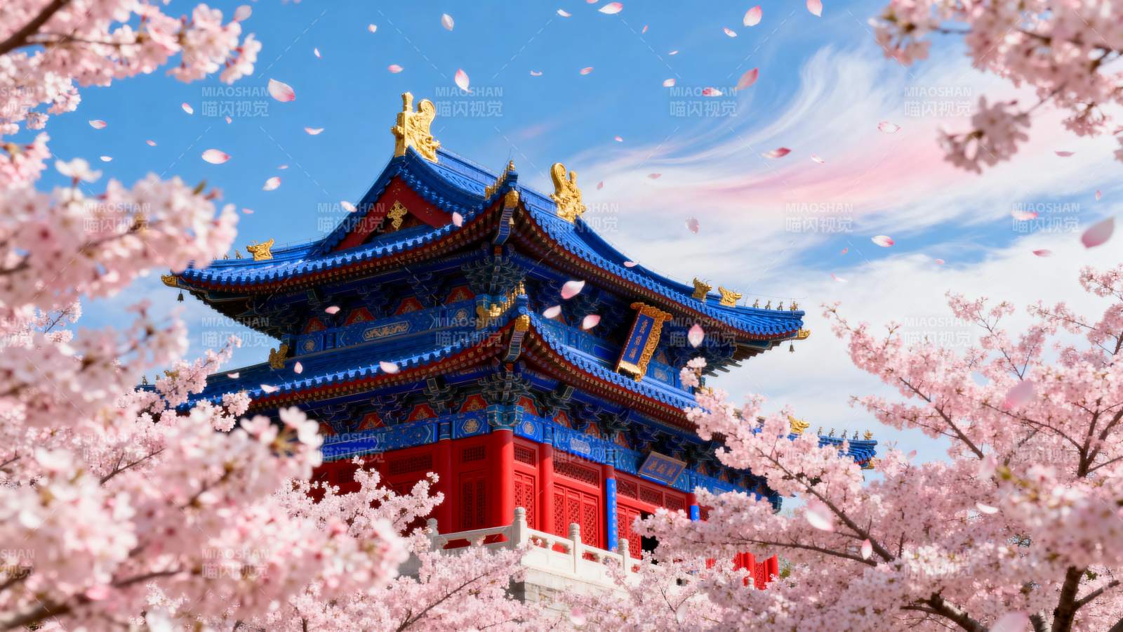 樱花映古塔图片