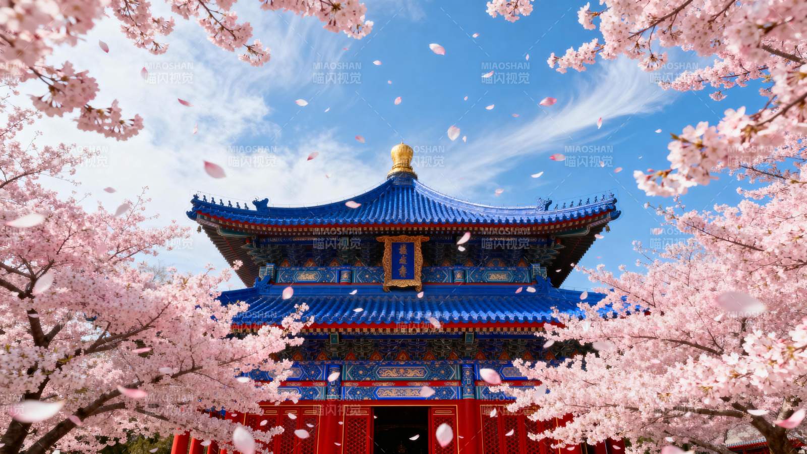 樱花映古殿图片