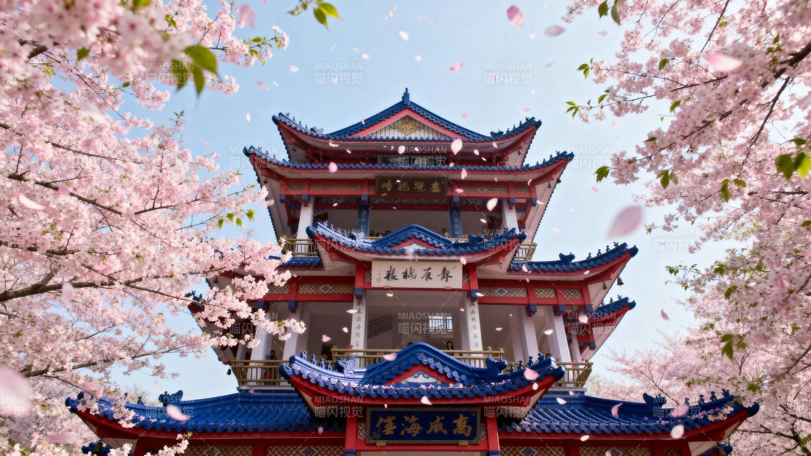 樱花映衬古塔美景图片