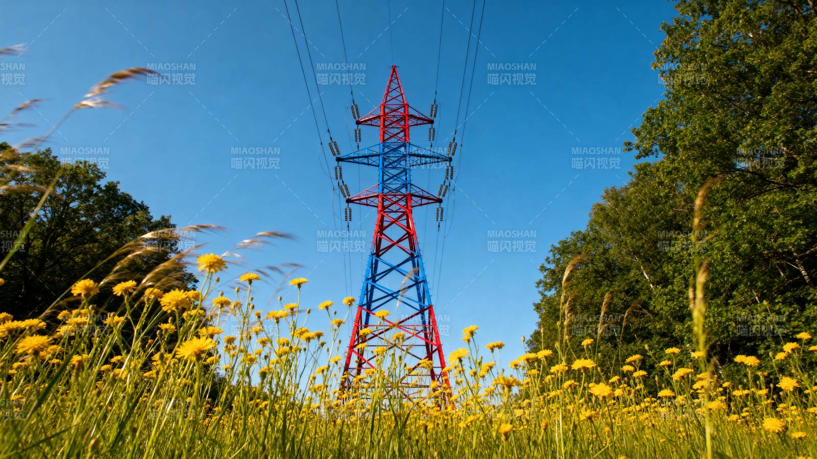 彩塔花海映蓝天图片