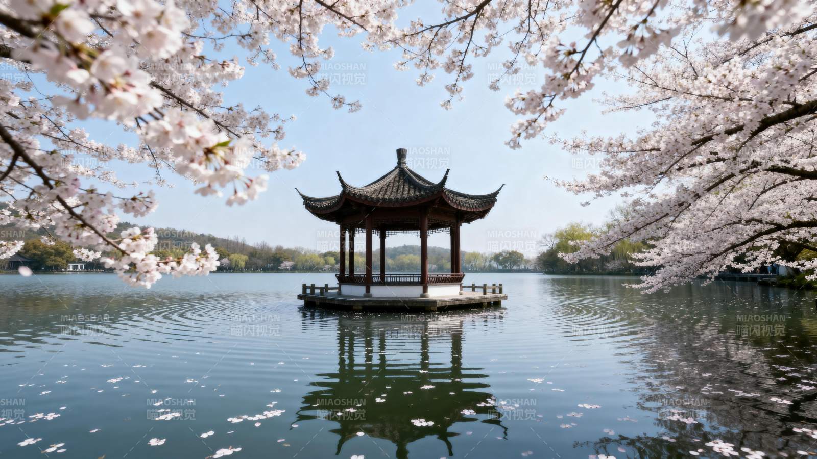 樱花亭影湖光图片