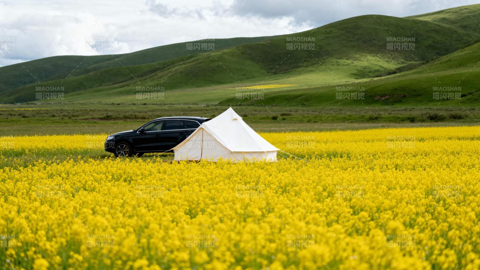 花海露营 车旁帐篷图片