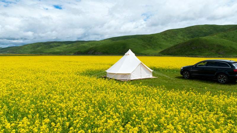花海露营 车旁帐篷图片
