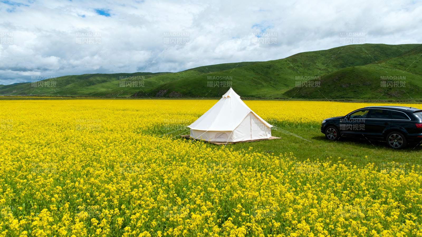 花海露营 车旁帐篷图片