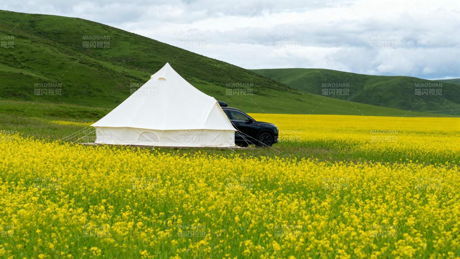 花海中的白色帐篷图片