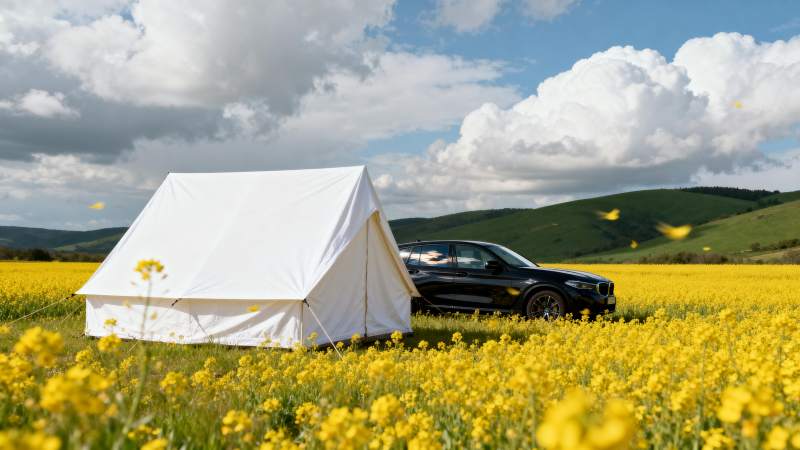 花海露营 车旁帐篷图片
