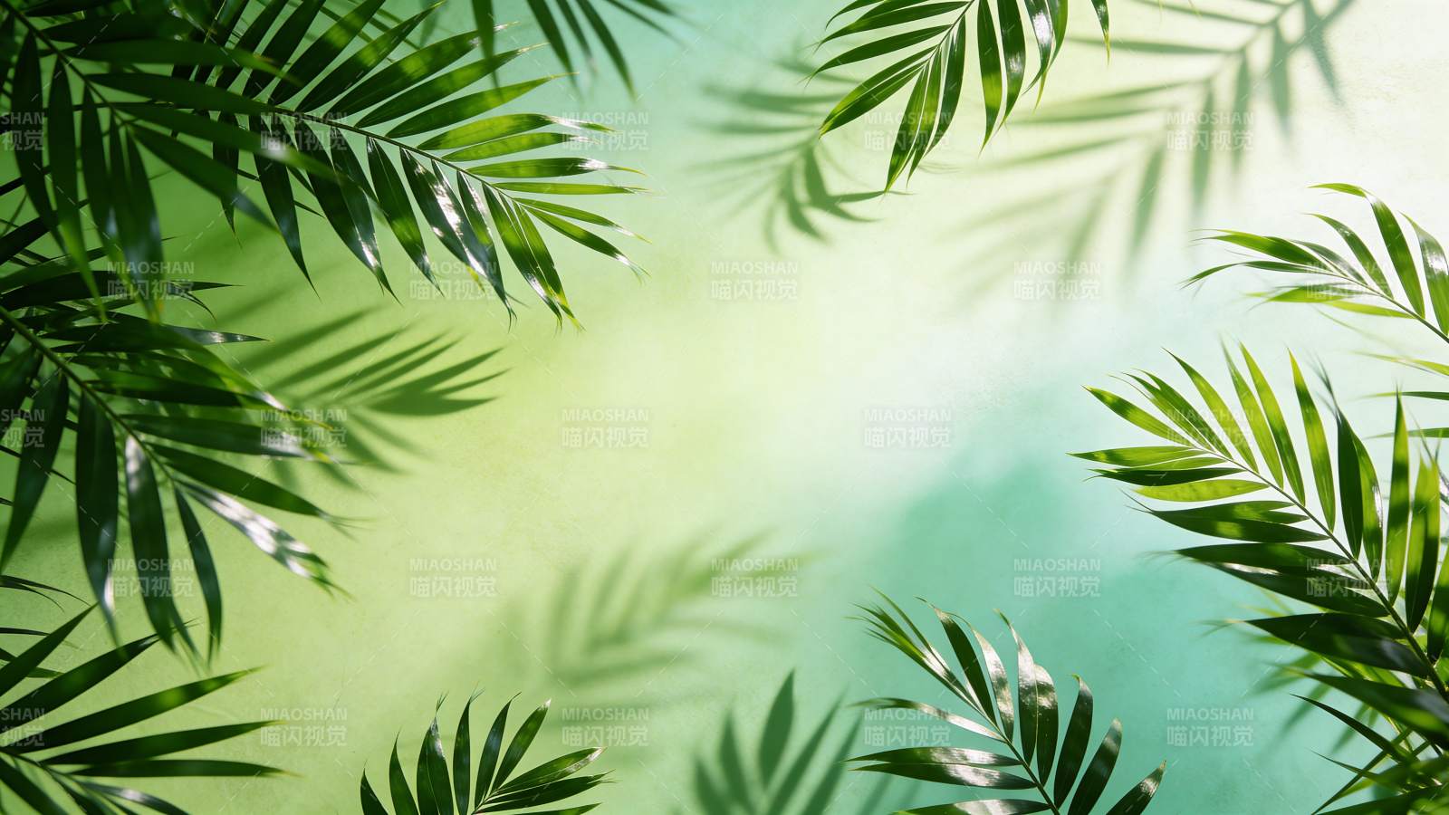热带绿叶背景图片