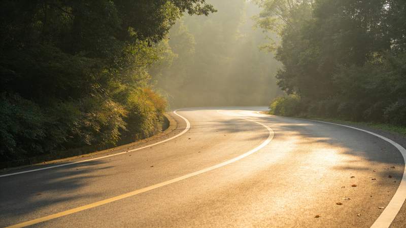 晨光中的林间小路图片