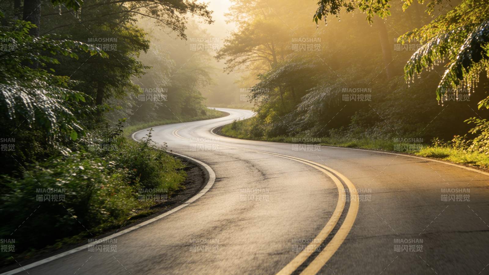 林间晨光曲径图片