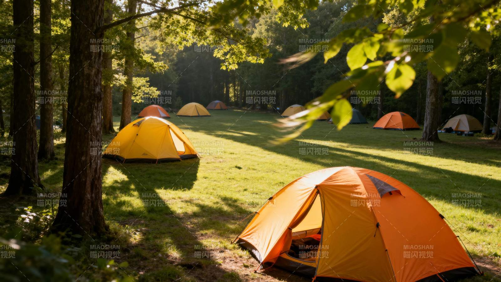 森林露营 帐篷点缀绿意图片