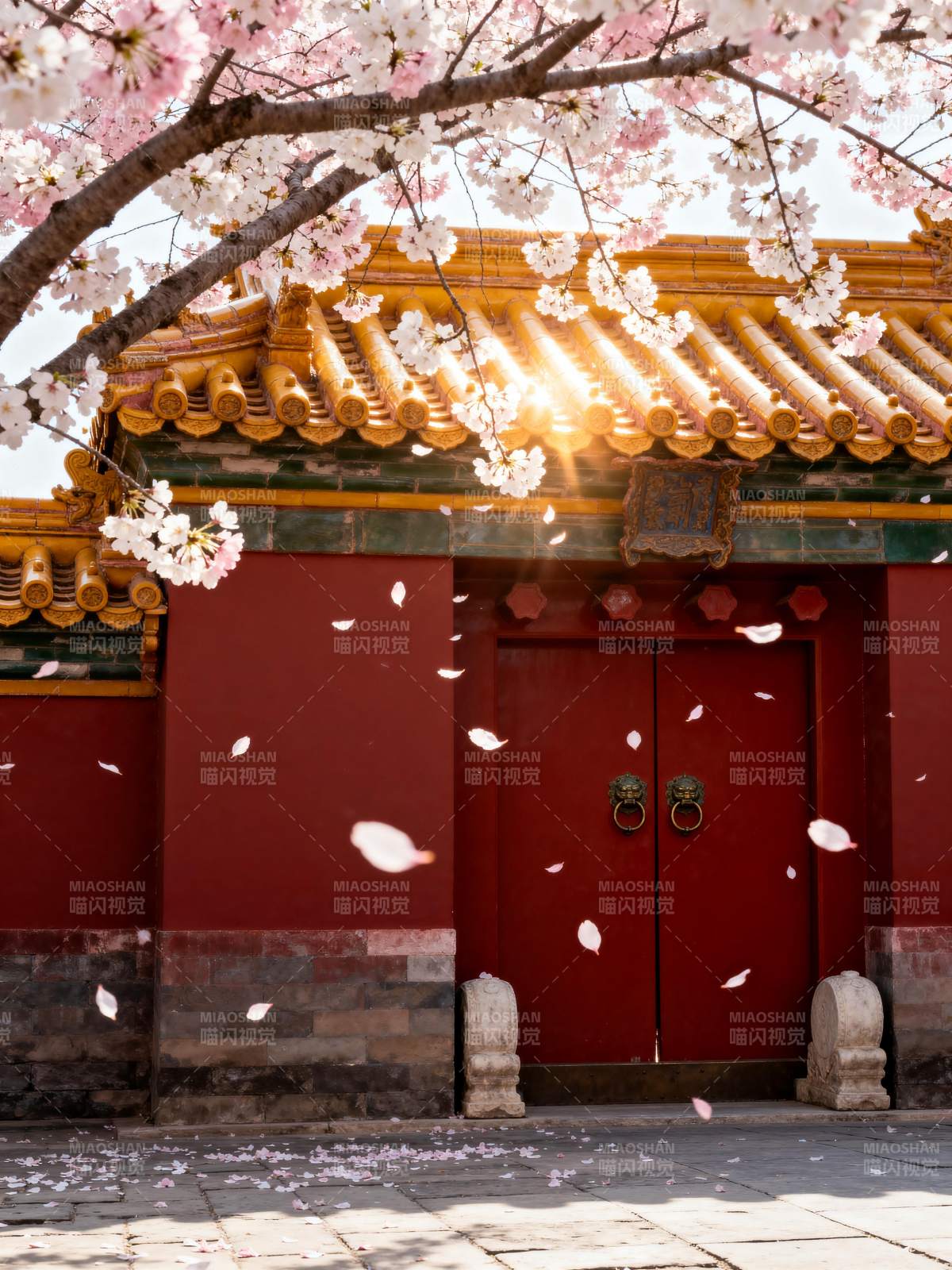 樱花映古殿图片