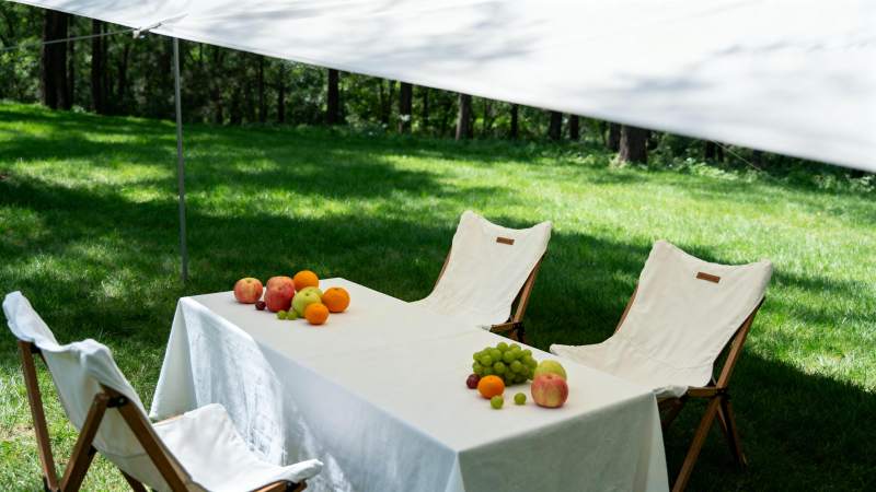 庭院野餐时光图片